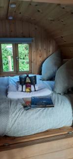 Sea View Glamping Barrel - Ruan Minor - 1