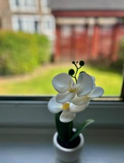 Elegant 2 Bedroom Flat - Edimburgo - 1
