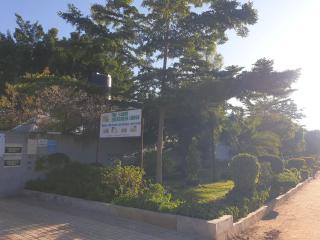 The Oasis Evergreen Lodge - Mpemba - 7