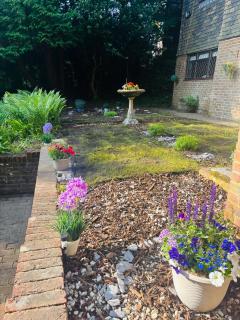 Traditional English house - Brighton & Hove - 9