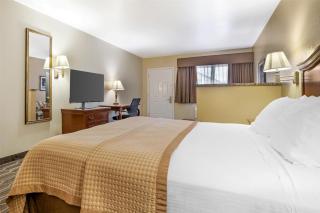 Best Western Inn of Chandler - Chandler - 8