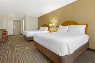 Best Western East El Paso Inn - Clint - 4
