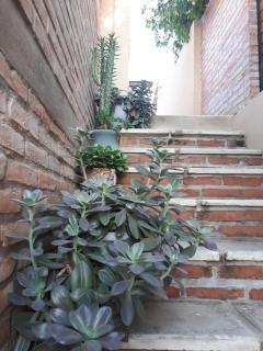 Refugio - Concepción del Uruguay - 8