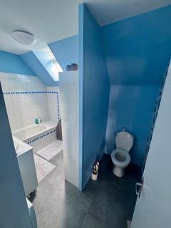 Appartement T3 centre ville 5mn du tramway - Le Mans - 7