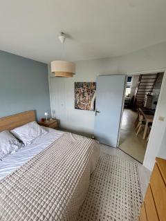 Appartement T3 centre ville 5mn du tramway - Le Mans - 5
