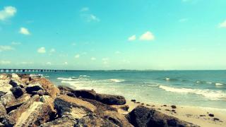 Seaside Front & Center Dolphin Watching - Freeport - 9