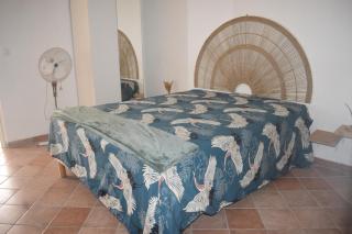 Blue Tropical - Le Gosier - 3