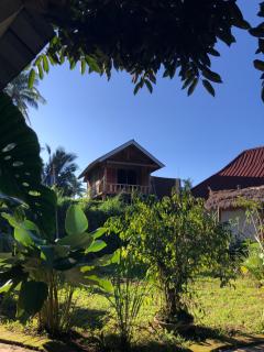 kunang kunang - Tetebatu - 3