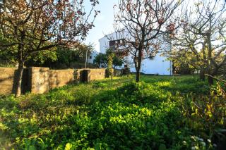 Orange tree Residency - Bar - 1