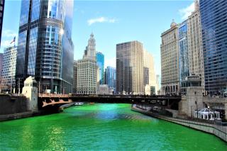Residence Inn Chicago O'Hare - Rosemont - 9