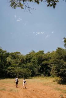 Susurros del Monte - Atyrá - 7