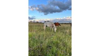 Toowoomba Valley Views by Tiny Away - Gowrie Little Plain - 3