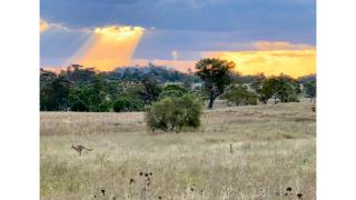 Toowoomba Valley Views by Tiny Away - Gowrie Little Plain - 0