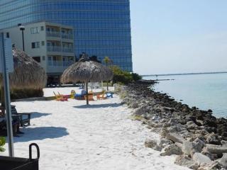 Sunset and Serenity at Sailport Tampa - 3
