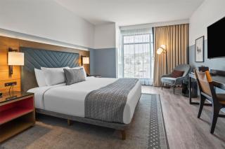 The Highlander at Radford, Tapestry Collection by Hilton - Radford - 2
