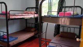 Baloi AS Mesilau Guest House - 4