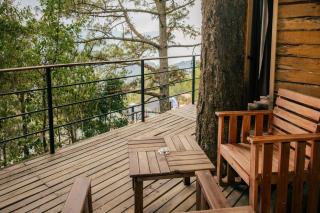 Rocabosque oaxaca - 1