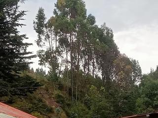 Land incas Cochahuasi lodge - San Antonio - 0