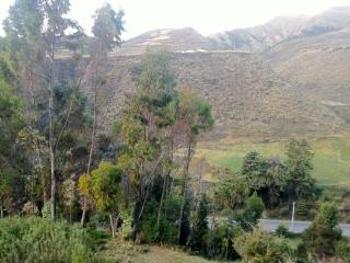 Land incas Cochahuasi lodge - San Antonio - 5
