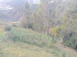Land incas Cochahuasi lodge - San Antonio - 4