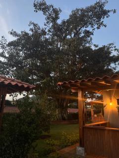 Entre Guaduales - Pereira - 5