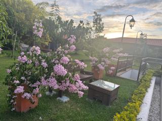 Entre Guaduales - Pereira - 7
