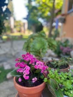 Casa Rural Entre Dos Aguas - 8