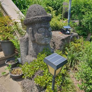 Samojeong, Jeju - Jeju - 8
