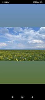 Azizyurtcamp - Kyzylemgek - 1