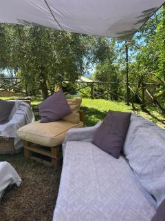 Villa Diletta - Mantignana - 5