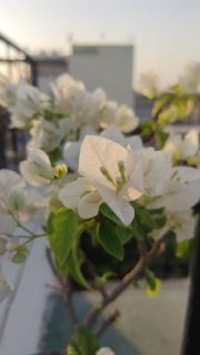 The Kishan's Nest - Mathura - 1
