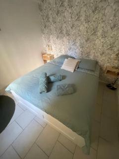 Appartement intra muros avec cour privée - Avignone - 4