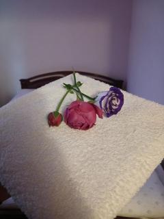 Van Bliss - Simple Comfort, Pure Relaxation - Gyumri - 4