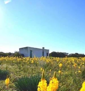 Willemsrivier Wild Camping - Nieuwoudtville - 2