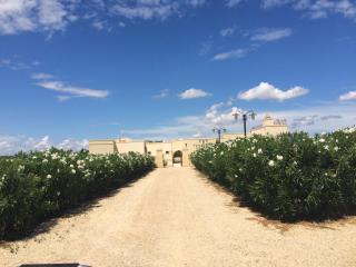 Masseria San Polo - Squinzano - 9