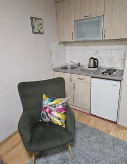 Apartments Aleksandra Cetinje - 4