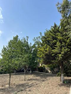 Serenity Garden Home - Sumqayıt - 6