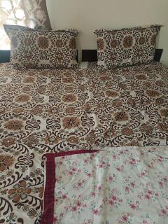 Shahi Mahal Guest House - Srinagar - 2