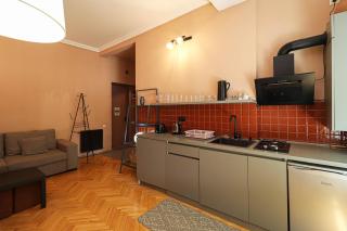 Spacious 1BR Apartment In The Heart of Tbilisi - Tbilisi - 4
