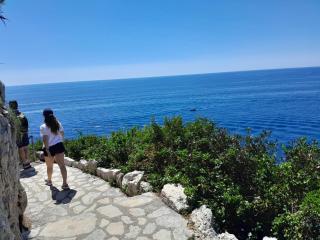 Beauty - Saint-Jean-Cap-Ferrat - 8