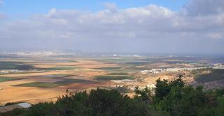 הנץ - Gilon - 6