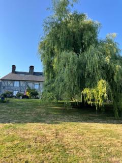 Manoir La Tasserie - Saint-Philbert-des-Champs - 4