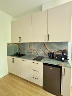 Apartamenty Izerskie - ul. Wczasowa 8 - Świeradów-Zdrój - 1