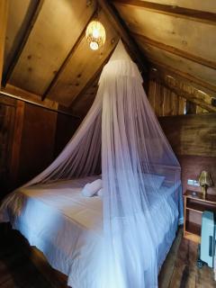 Dewi Rinjani Homestay - Tetebatu - 9