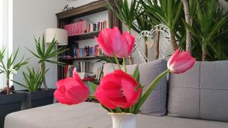 Villa Francesca with private heated pool - Štokovci - 7