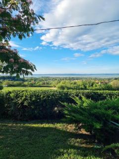 Vadvirág Vendégház - 8