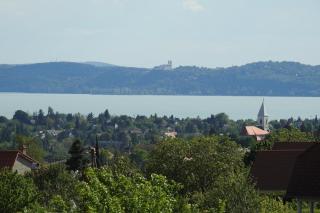 Vadvirág Vendégház - Lovas - 2