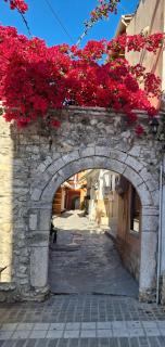 Parga camara studio - 0