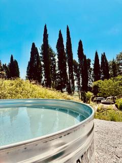 Villa Monteleone - Montefalcone - 7