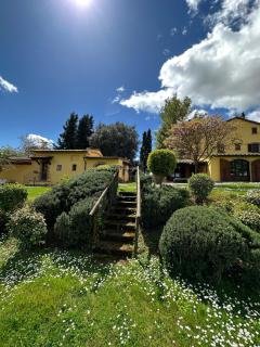 Il Noce Peaceful Tuscan Haven with Pool and Views - Cortona - 9